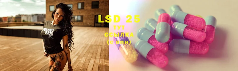 блэк спрут сайт  сколько стоит  Нелидово  Лсд 25 экстази ecstasy 